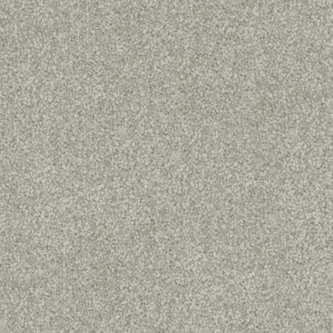 Frosty Touch carpet swatch